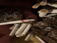 Cigarette torture burning out on pigs lil’ dick!